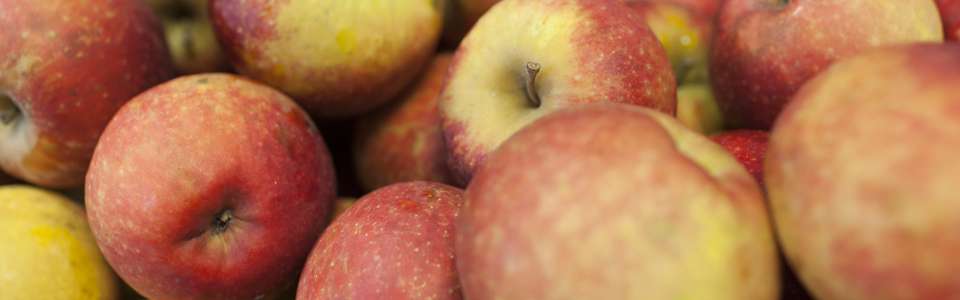 Les fruits (pommes, poires)