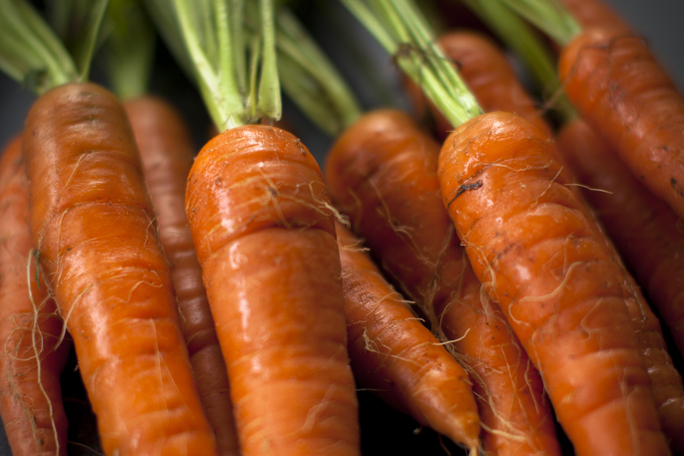 Carottes nouvelles