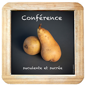 Ardoise_Conference