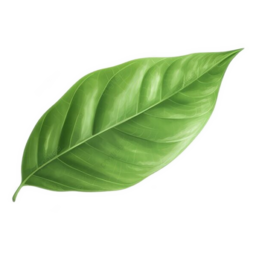 AMAP Doulon Toutes-Aides